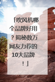 吹风机哪个品牌好用？揭秘数万网友力荐的10大品牌！