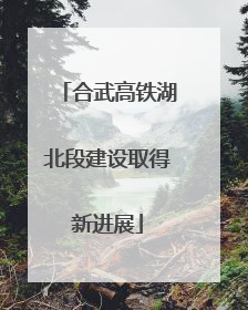 合武高铁湖北段建设取得新进展