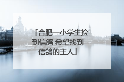 合肥一小学生捡到信鸽 希望找到信鸽的主人