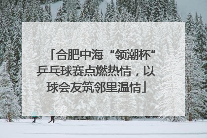 合肥中海“领潮杯”乒乓球赛点燃热情，以球会友筑邻里温情