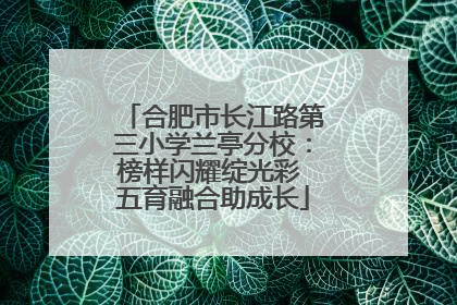 合肥市长江路第三小学兰亭分校：榜样闪耀绽光彩 五育融合助成长