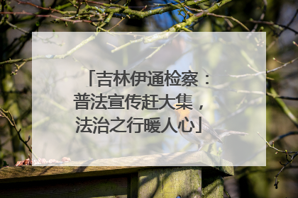 吉林伊通检察：普法宣传赶大集，法治之行暖人心