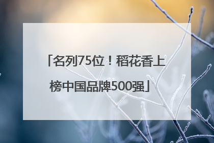 名列75位！稻花香上榜中国品牌500强
