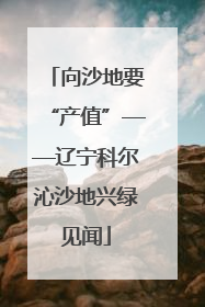 向沙地要“产值”——辽宁科尔沁沙地兴绿见闻