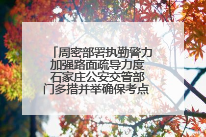 周密部署执勤警力 加强路面疏导力度 石家庄公安交管部门多措并举确保考点周边交通环境良好