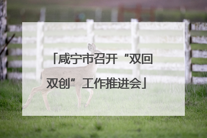咸宁市召开“双回双创”工作推进会