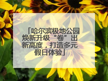 哈尔滨极地公园焕新升级“卷”出新高度，打造多元假日体验