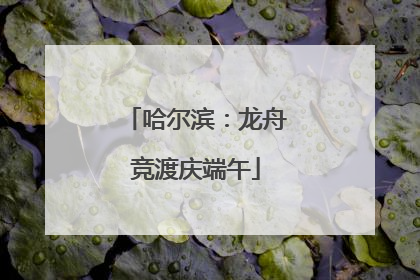 哈尔滨：龙舟竞渡庆端午