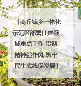 商丘城乡一体化示范区部署住建领域重点工作 贯彻精神强作风 筑牢民生底线促发展