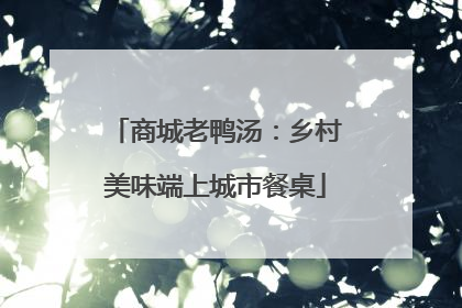 商城老鸭汤：乡村美味端上城市餐桌