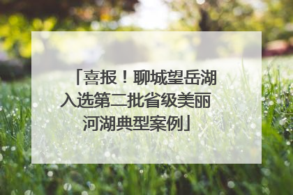 喜报！聊城望岳湖入选第二批省级美丽河湖典型案例