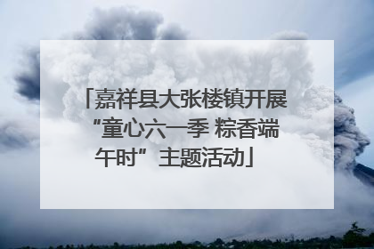 嘉祥县大张楼镇开展“童心六一季 粽香端午时”主题活动