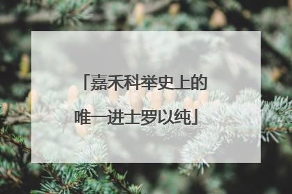 嘉禾科举史上的唯一进士罗以纯
