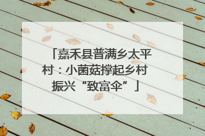 嘉禾县普满乡太平村：小菌菇撑起乡村振兴“致富伞”