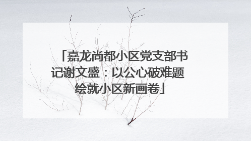 嘉龙尚都小区党支部书记谢文盛：以公心破难题 绘就小区新画卷