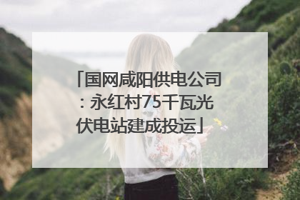 国网咸阳供电公司：永红村75千瓦光伏电站建成投运