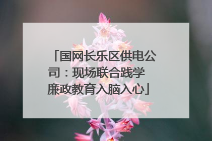 国网长乐区供电公司：现场联合践学 廉政教育入脑入心