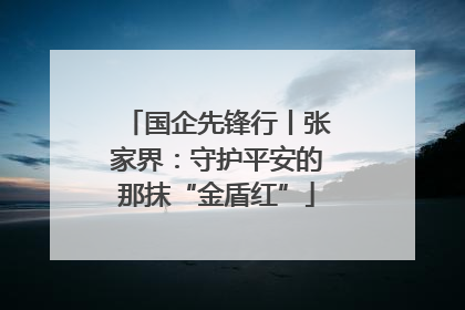 国企先锋行丨张家界：守护平安的那抹“金盾红”