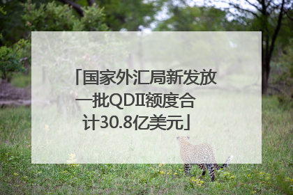 国家外汇局新发放一批QDII额度合计30.8亿美元