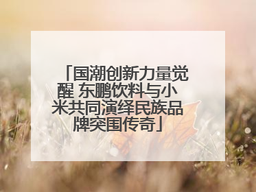 国潮创新力量觉醒 东鹏饮料与小米共同演绎民族品牌突围传奇