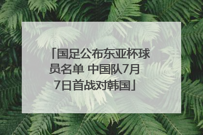 国足公布东亚杯球员名单 中国队7月7日首战对韩国