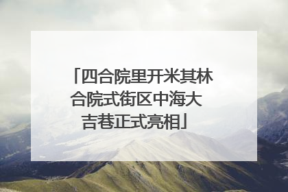 四合院里开米其林 合院式街区中海大吉巷正式亮相