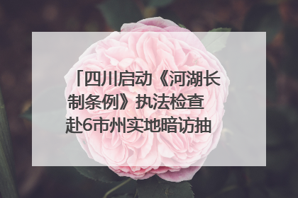 四川启动《河湖长制条例》执法检查 赴6市州实地暗访抽查｜四川人大之声