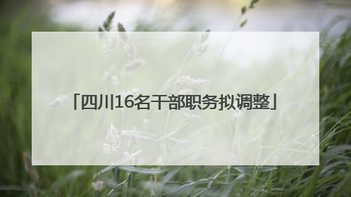 四川16名干部职务拟调整
