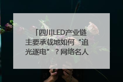 四川LED产业链主要承载地如何“追光逐电”？网络名人走进攀枝花找答案｜网络名人四川行
