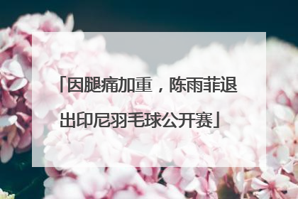 因腿痛加重，陈雨菲退出印尼羽毛球公开赛