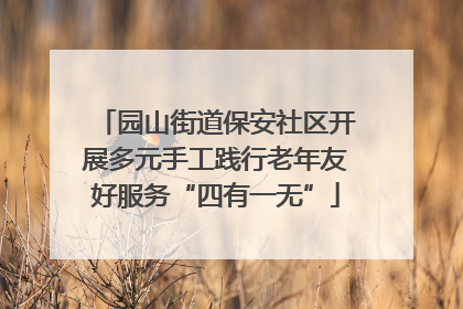 园山街道保安社区开展多元手工践行老年友好服务“四有一无”