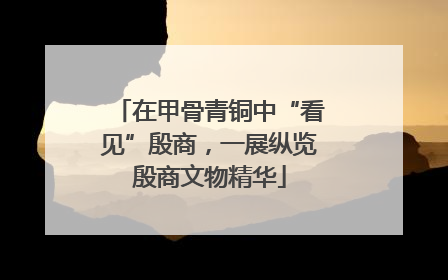 在甲骨青铜中“看见”殷商，一展纵览殷商文物精华