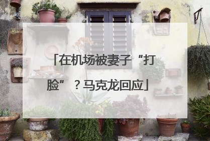 在机场被妻子“打脸”？马克龙回应