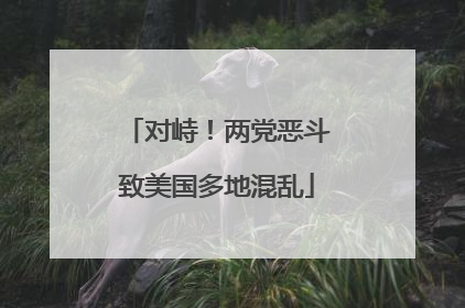 对峙！两党恶斗致美国多地混乱