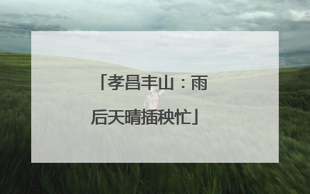孝昌丰山：雨后天晴插秧忙