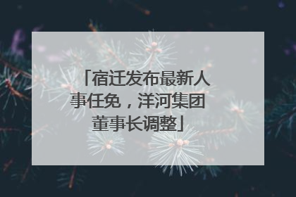 宿迁发布最新人事任免，洋河集团董事长调整