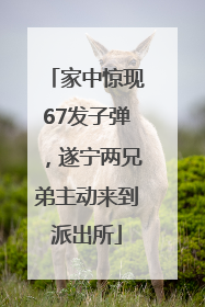 家中惊现67发子弹，遂宁两兄弟主动来到派出所