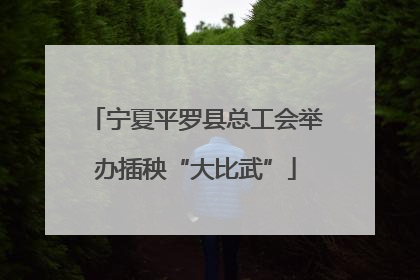 宁夏平罗县总工会举办插秧“大比武”