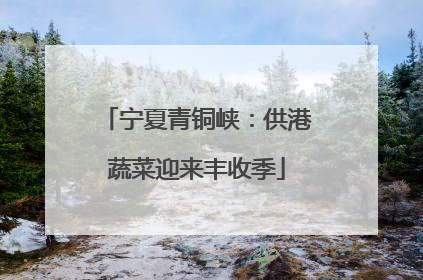 宁夏青铜峡：供港蔬菜迎来丰收季