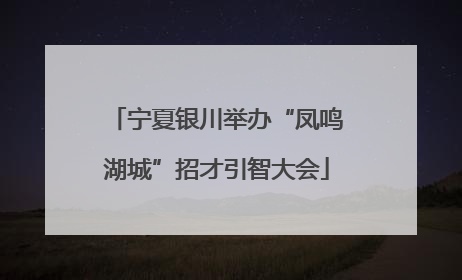宁夏银川举办“凤鸣湖城”招才引智大会