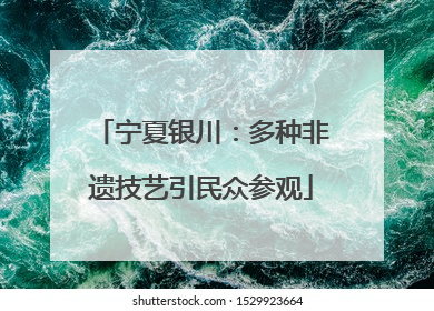 宁夏银川：多种非遗技艺引民众参观