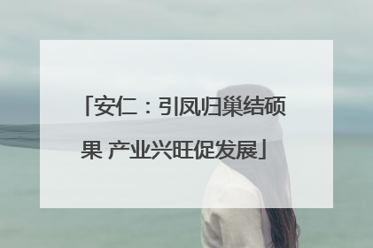 安仁：引凤归巢结硕果 产业兴旺促发展