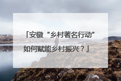 安徽“乡村著名行动”如何赋能乡村振兴？