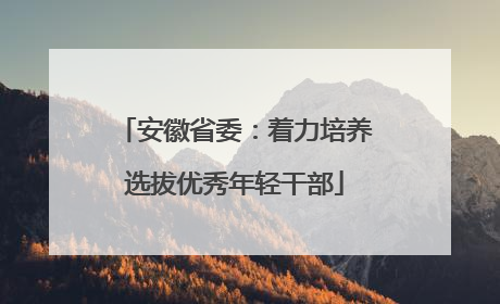 安徽省委：着力培养选拔优秀年轻干部