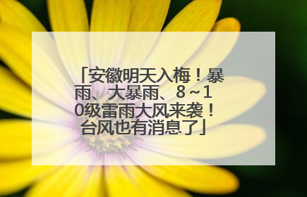 安徽明天入梅！暴雨、大暴雨、8～10级雷雨大风来袭！台风也有消息了
