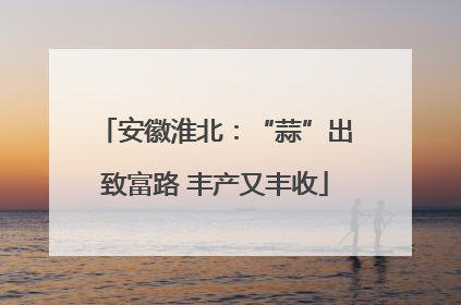 安徽淮北：“蒜”出致富路 丰产又丰收