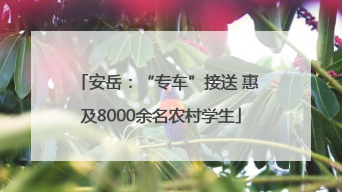 安岳：“专车”接送 惠及8000余名农村学生