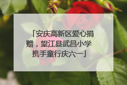 安庆高新区爱心捐赠，望江县武昌小学携手童行庆六一