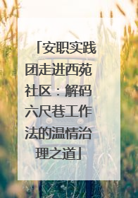 安职实践团走进西苑社区：解码六尺巷工作法的温情治理之道