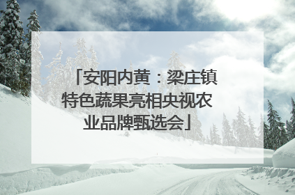 安阳内黄：梁庄镇特色蔬果亮相央视农业品牌甄选会